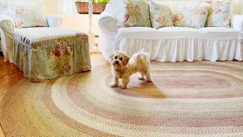https://cdn.homespice.com/media/amasty/amoptmobile/wysiwyg/Pet_Friendly_Fall_Decor_Braided_Rugs_for_a_Cozy_and_Clean_Home_png.webp