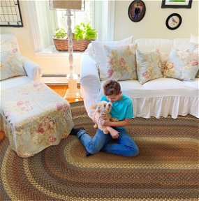 Biscotti Multi Color Cotton Braided Oval Rugs