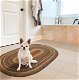 Biscotti Multi Color Cotton Braided Oval Rug for bathroom