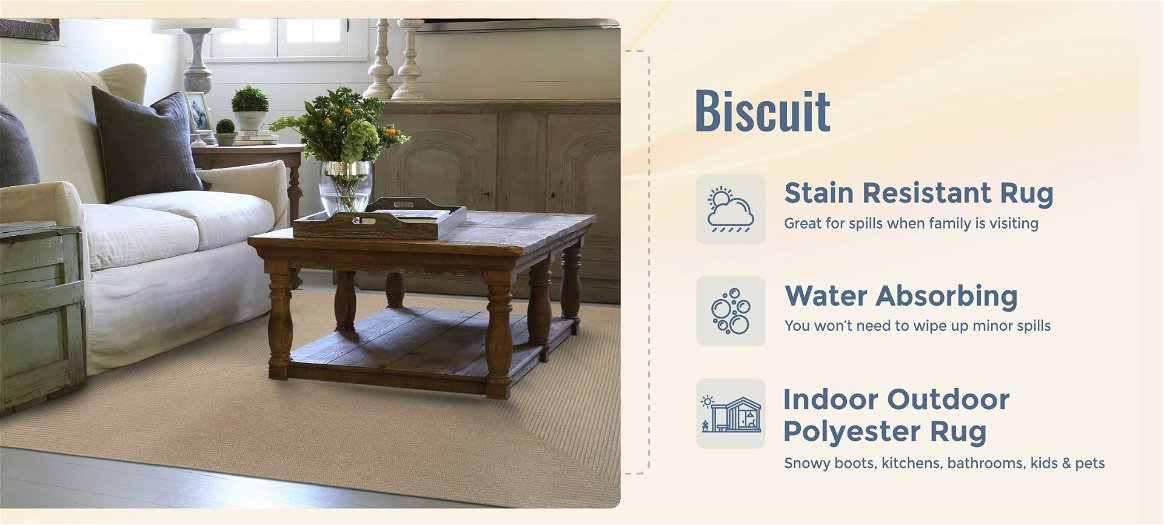 Biscuit Brown Rectangular Indoor/Outdoor Braided Rug benefits