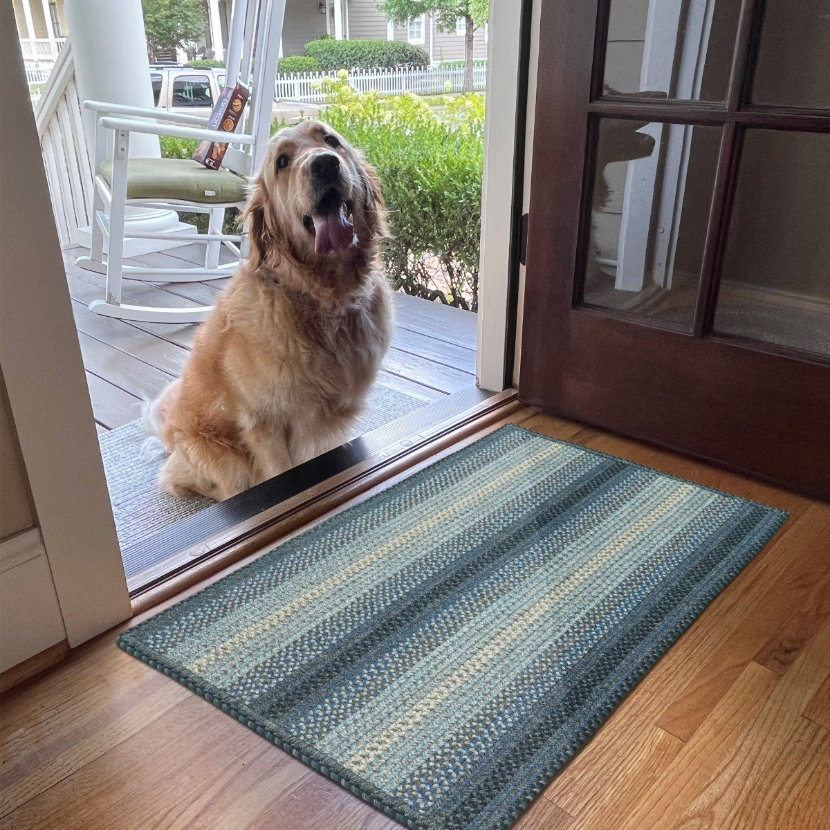 Carpet Reusable Water Absorption Non-slip 3d Dog Print Door Rug
