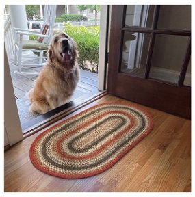 Chester Red Braided Jute Oval Rug