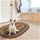Neverland Multi Color Cotton Braided Oval Rug for bathroom