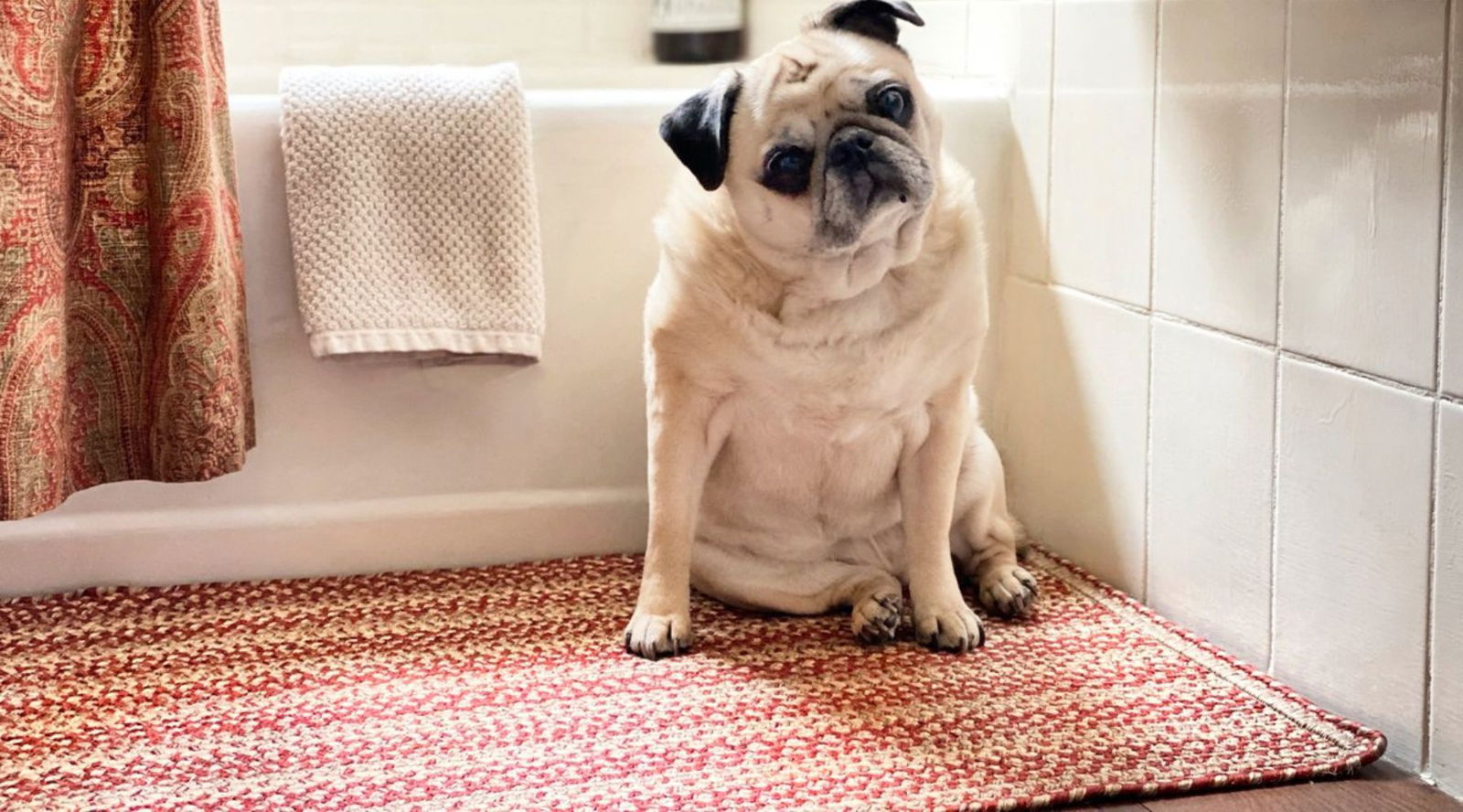 Why It’s Time to Decorate with Runner Rugs