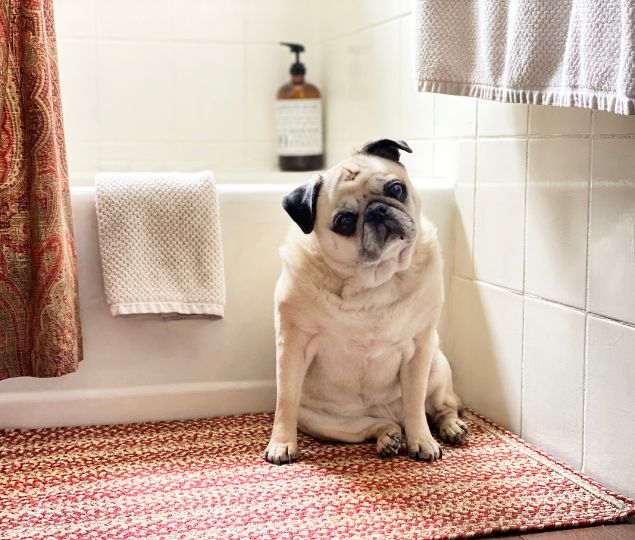 bathroom braided rugs